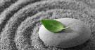 Meditation nature